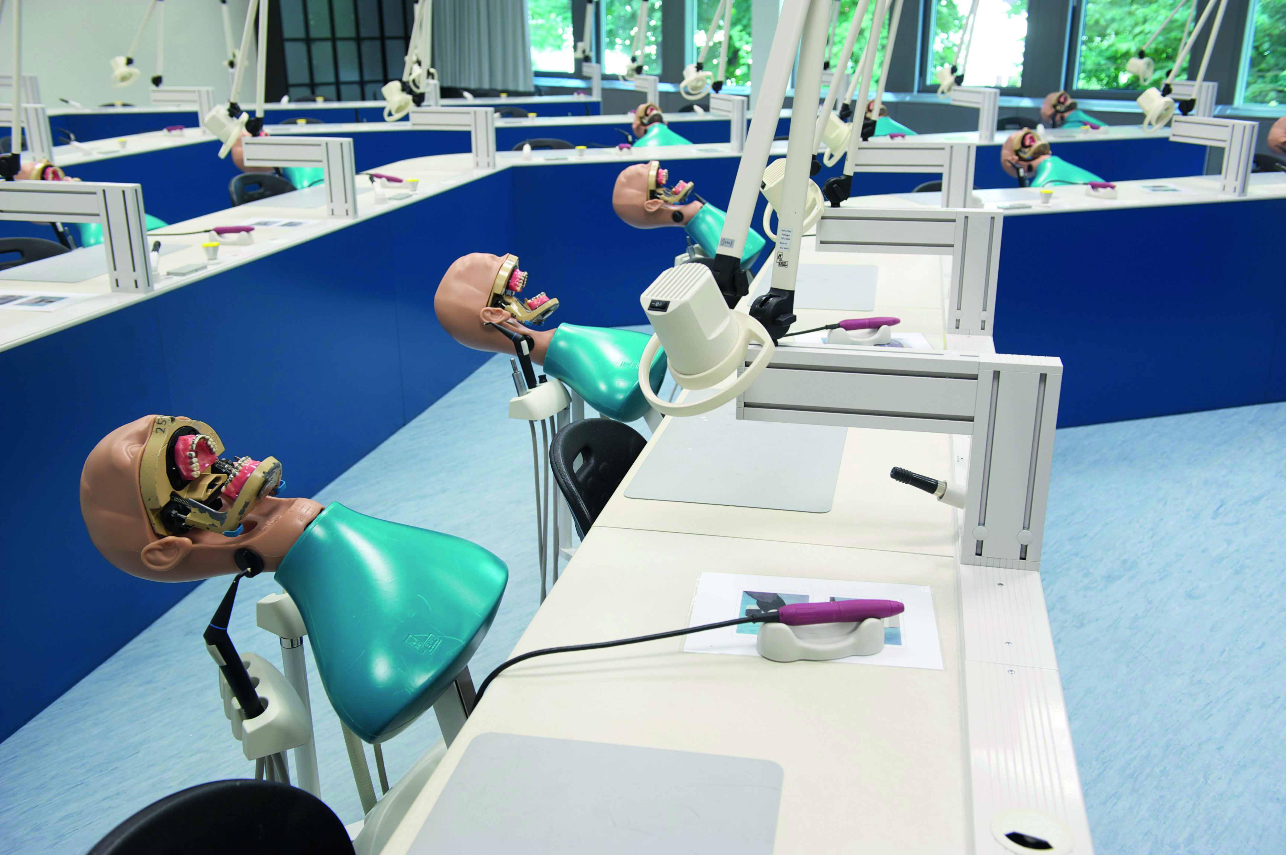 pi_1-17_T2_ha 0146.jpg